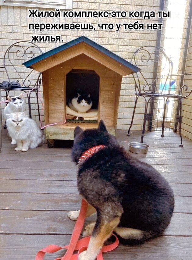 Фото из интернета в обработке автора