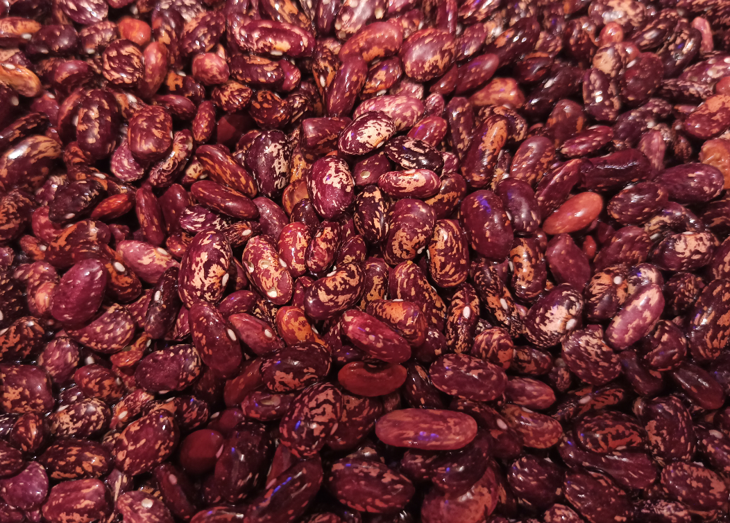 Та самая фасоль. Пока дырки от жуков не особо заметны. После замачивания они будут видны даже невооруженным взглядом