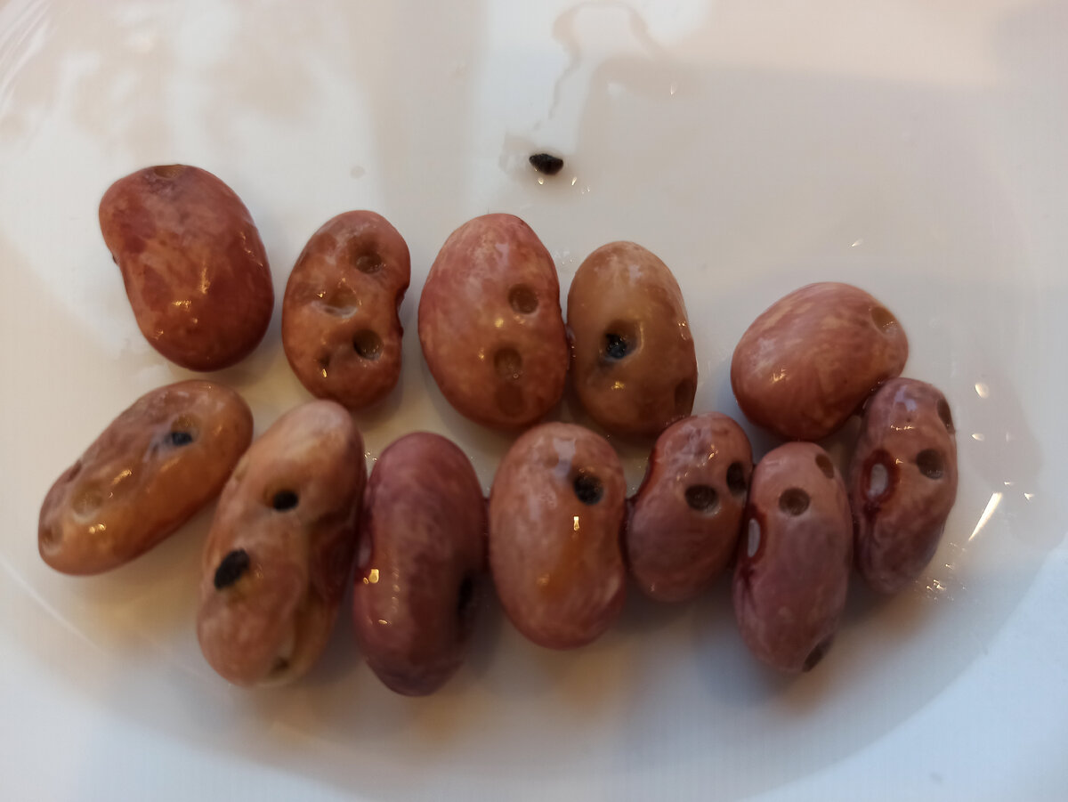 вроде никто не шевелился в тарелке, хотя может плохо смотрела