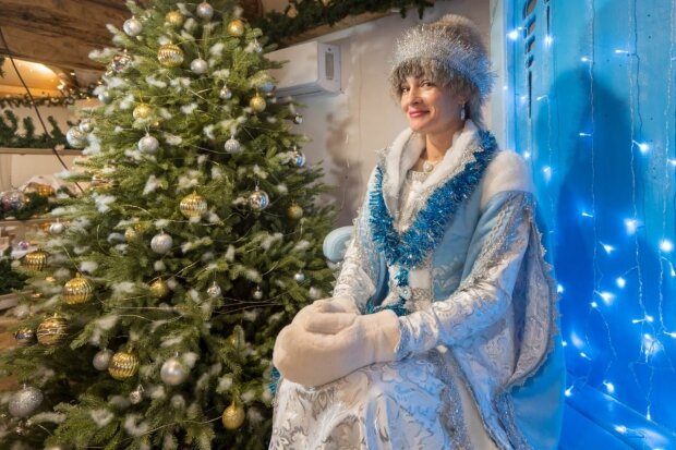 фото из открытого источника.