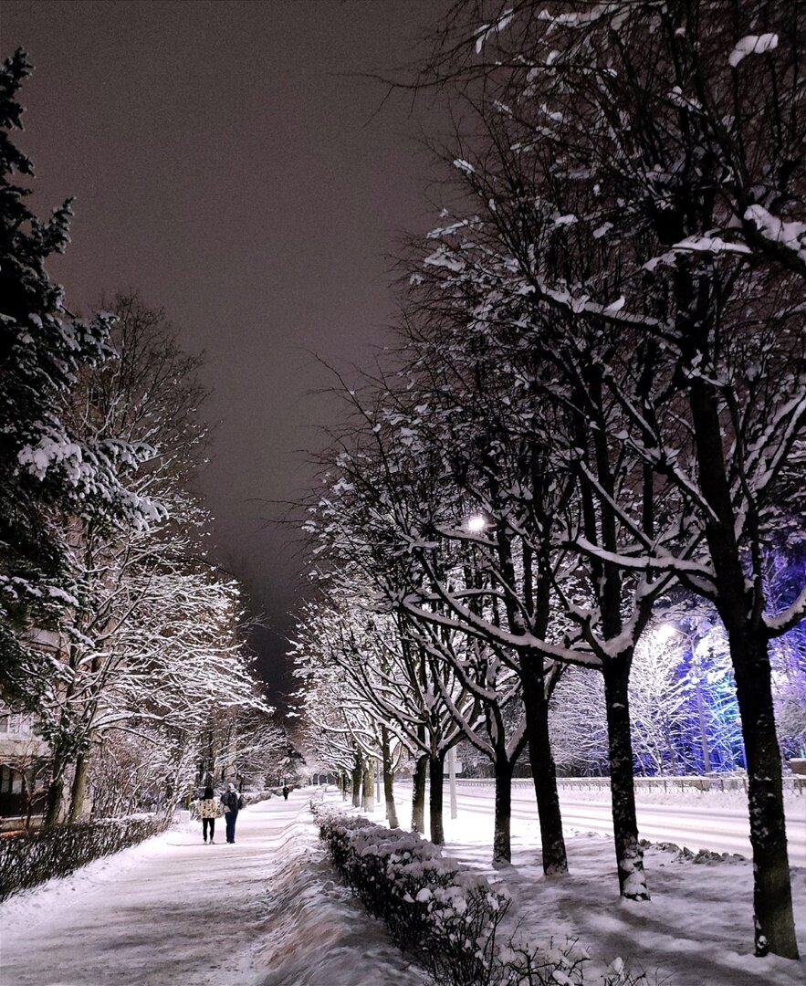 Фото автора. Дорогу, осилит идущий