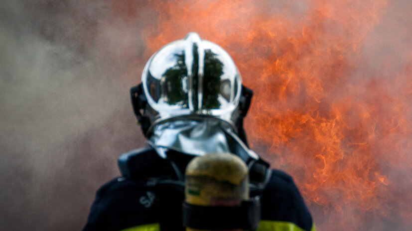   Gettyimages.ru robert brown