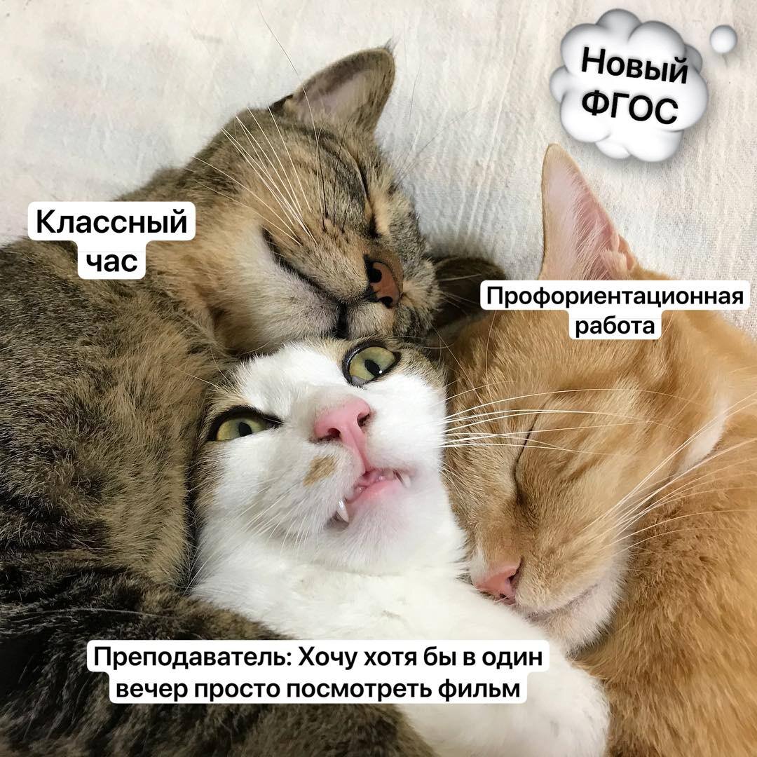 Внимание: после прочтения может показаться, что вы уже методолог