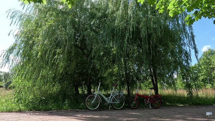 Место старта Южно-Приморский парк