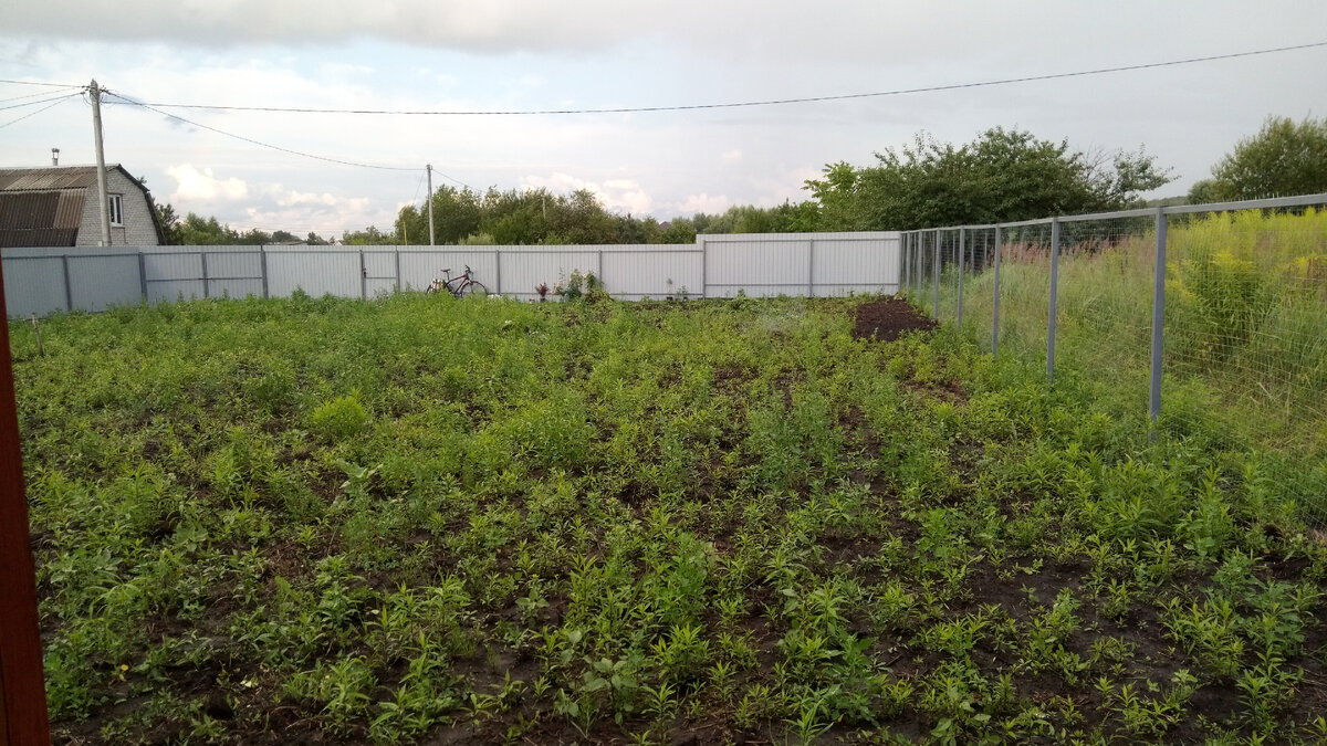 Некоторое время спустя после установки забора