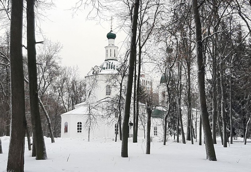 Еще фото зимнего Нижнего Новгорода: это уже прогулка по центру города, Парк Кулибина... Фото автора