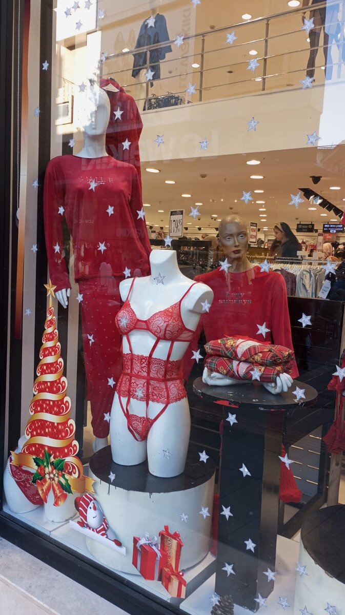 Новогодние витрины 