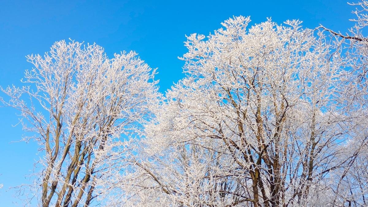    26 декабря — день памяти святого Евстратия. Фото: pxhere.com