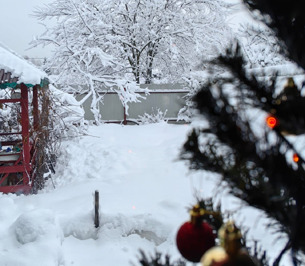 Дачу снова засыпало в воскресенье снегом