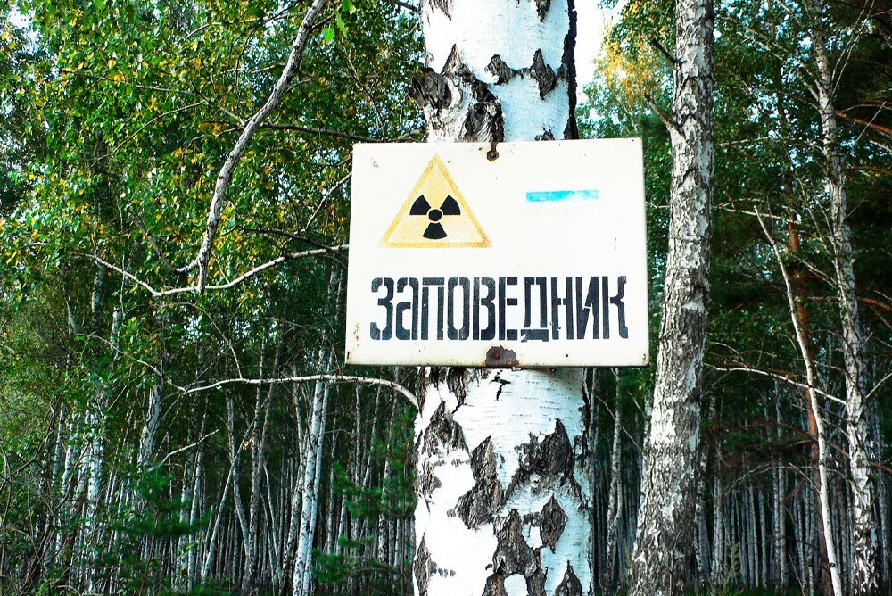 Знак "Заповедник".