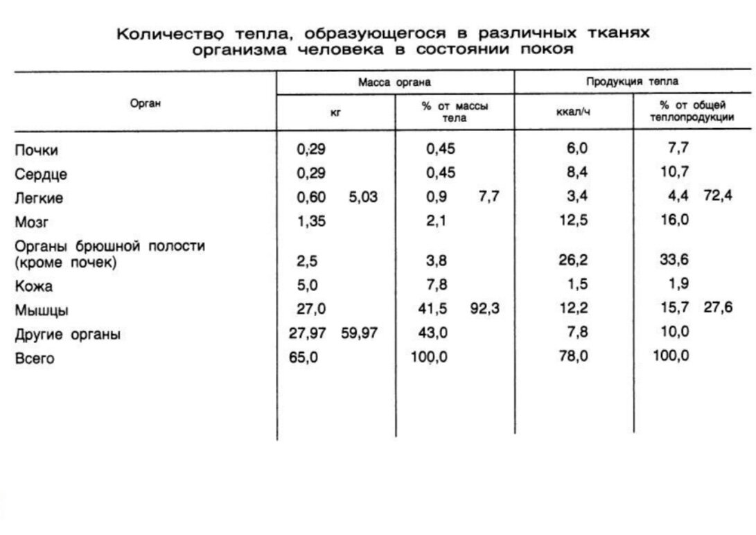 Теплопродукция организма в состоянии покоя