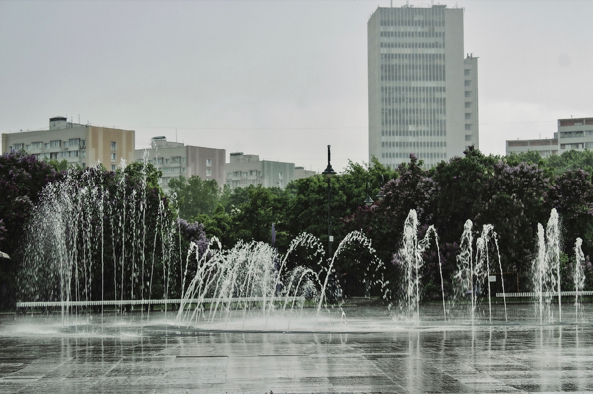 Район Северное Измайлово. Фото автора.