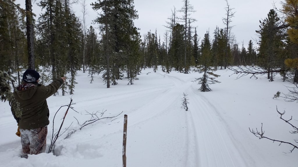    фото – место происшествия. Источник – СУ СК Ямала