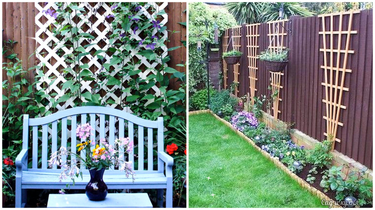Декор забора вьющимися растениями.