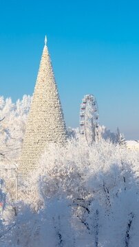 Фото: Сергей Антошкин
