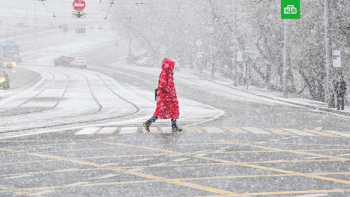    Фото: Ю. Иванко / mos.ru