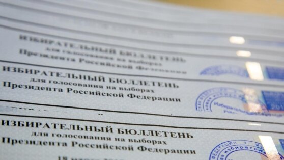    Число претендентов на выдвижение в президенты РФ превысило 30 Алина Городниченко