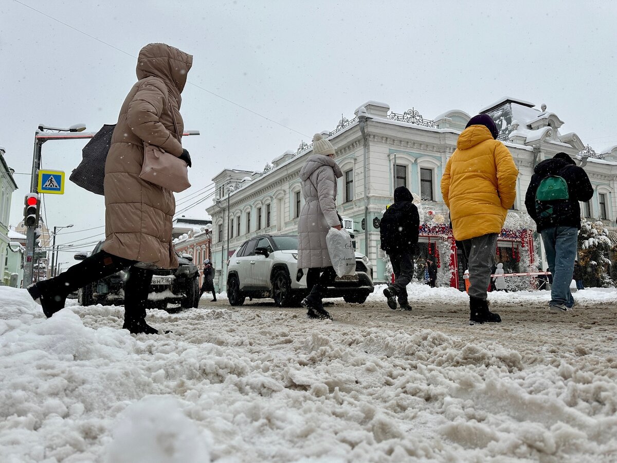 В этом году ожидается