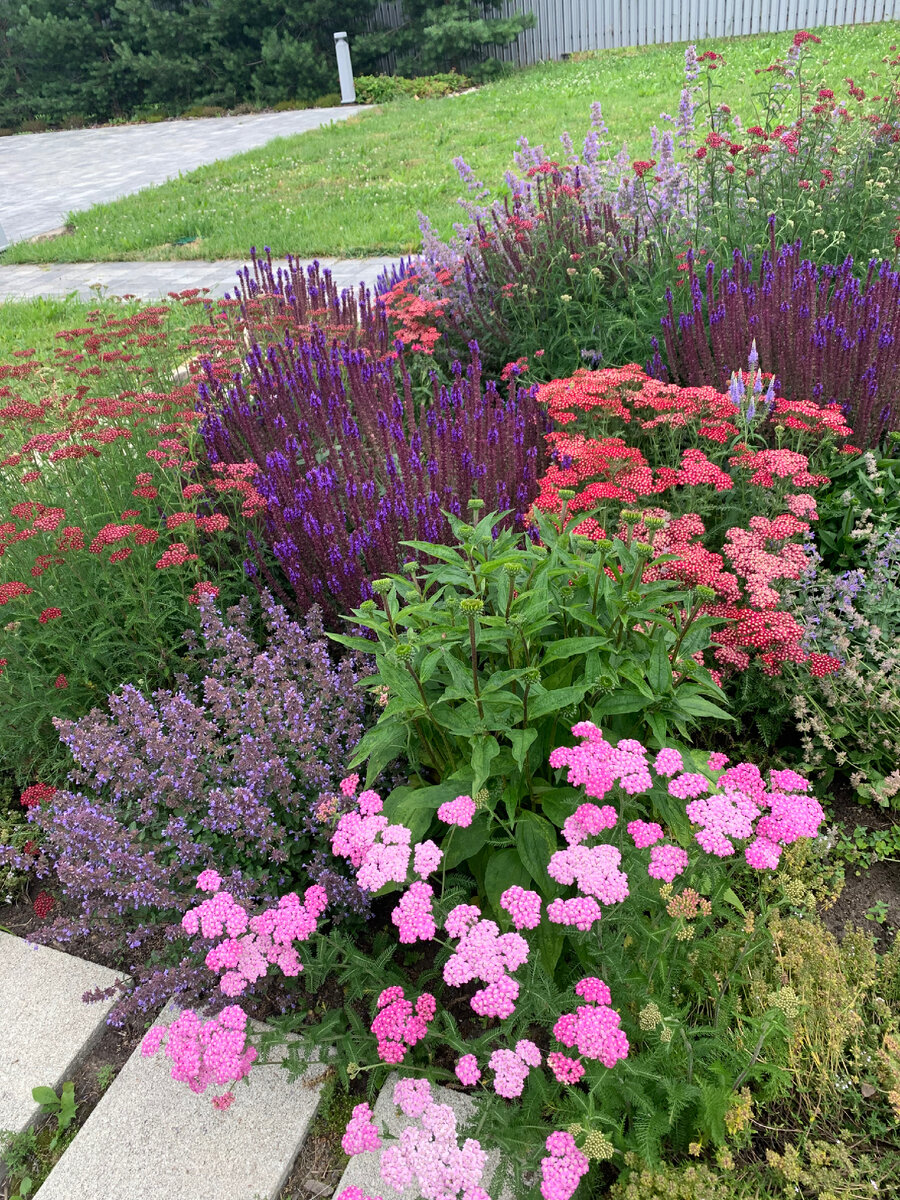 Буду иллюстрировать узнаваемыми уголками своего сада