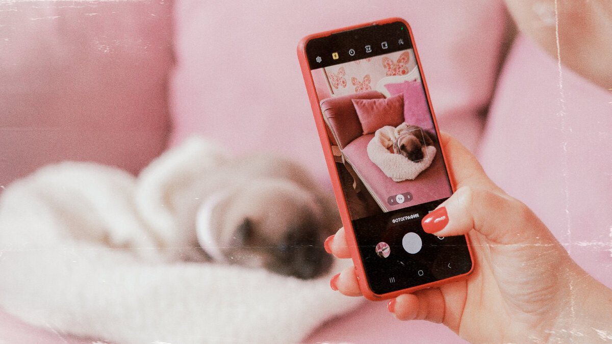 Щенок - это не смартфон