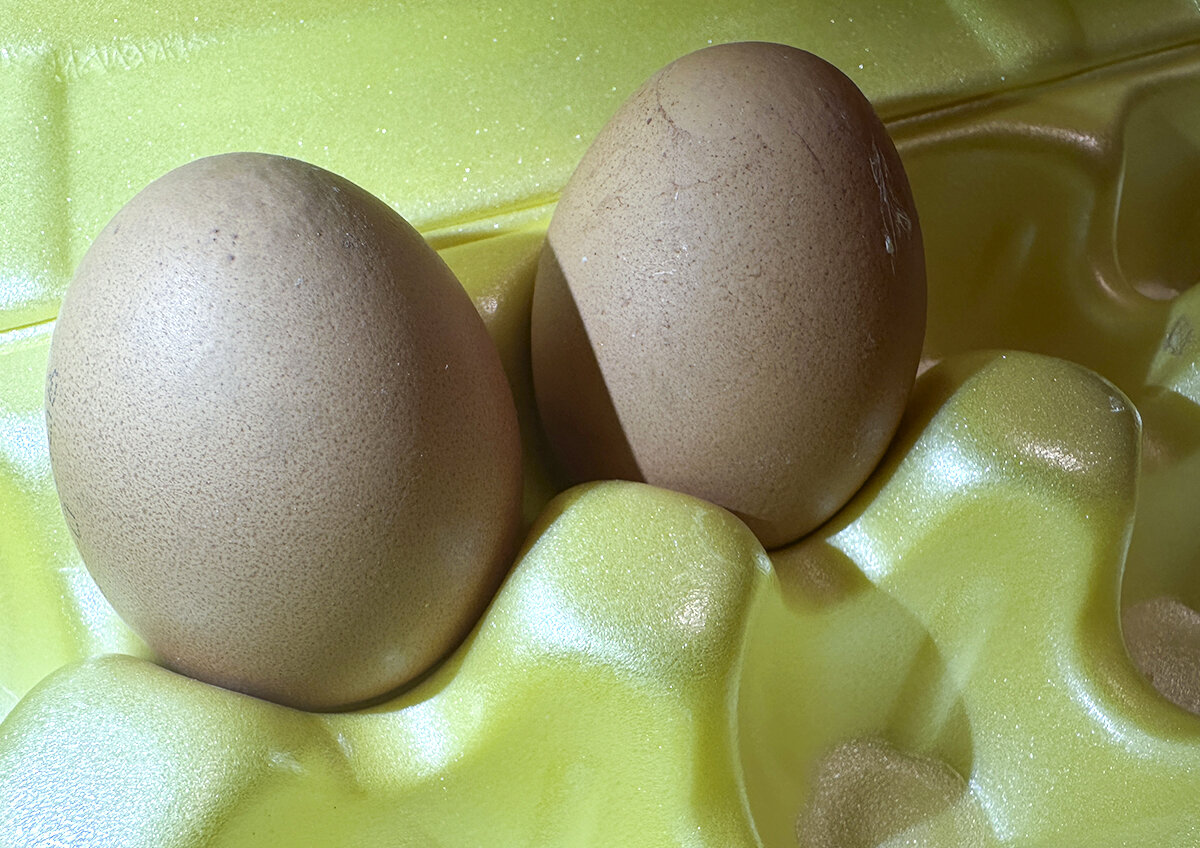    Названа новая возможная причина подорожания яиц