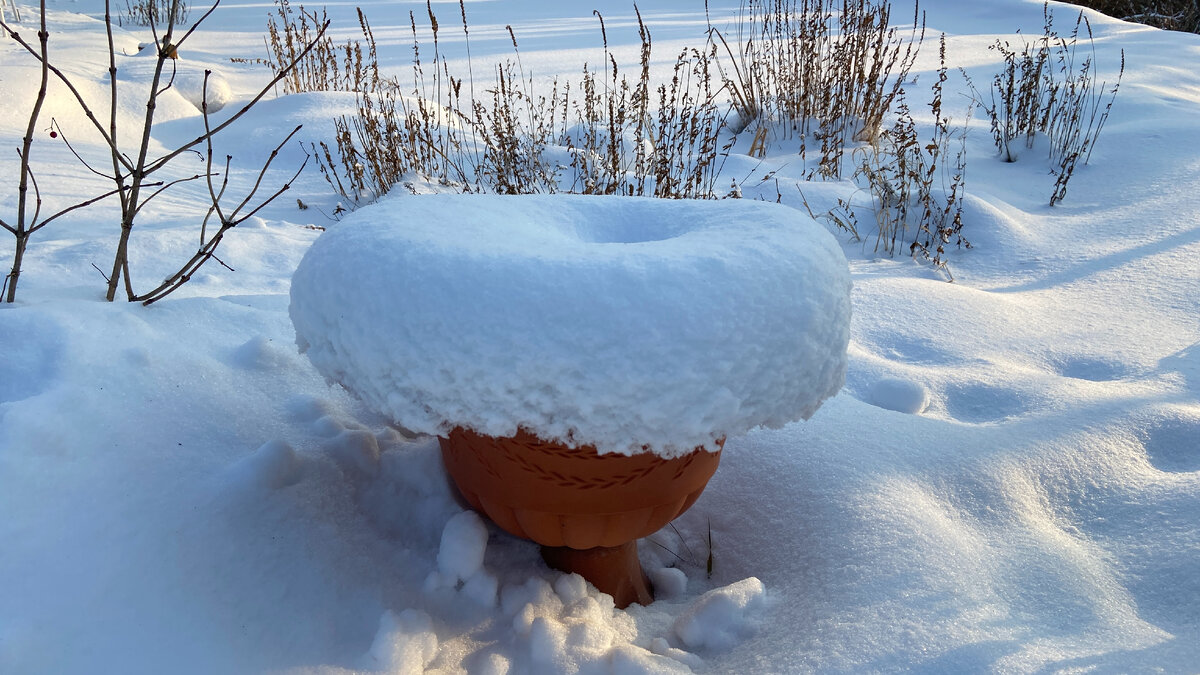 Декабрь