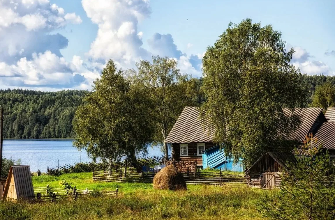 Яндекс картинки