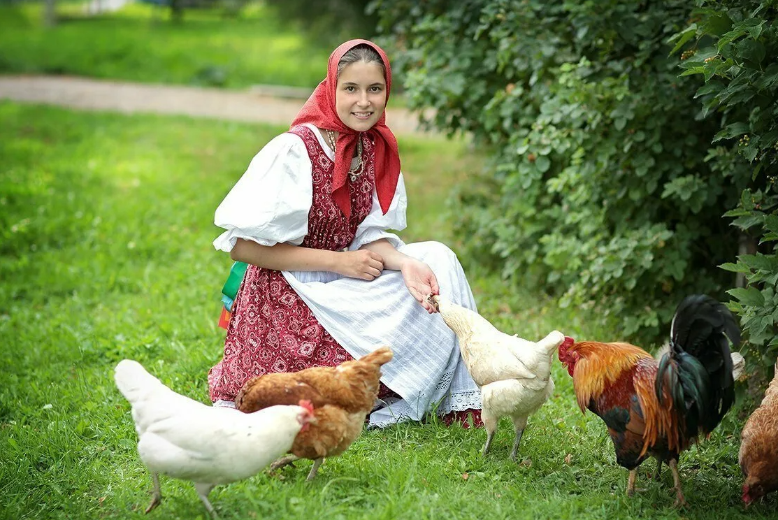 Яндекс картинки