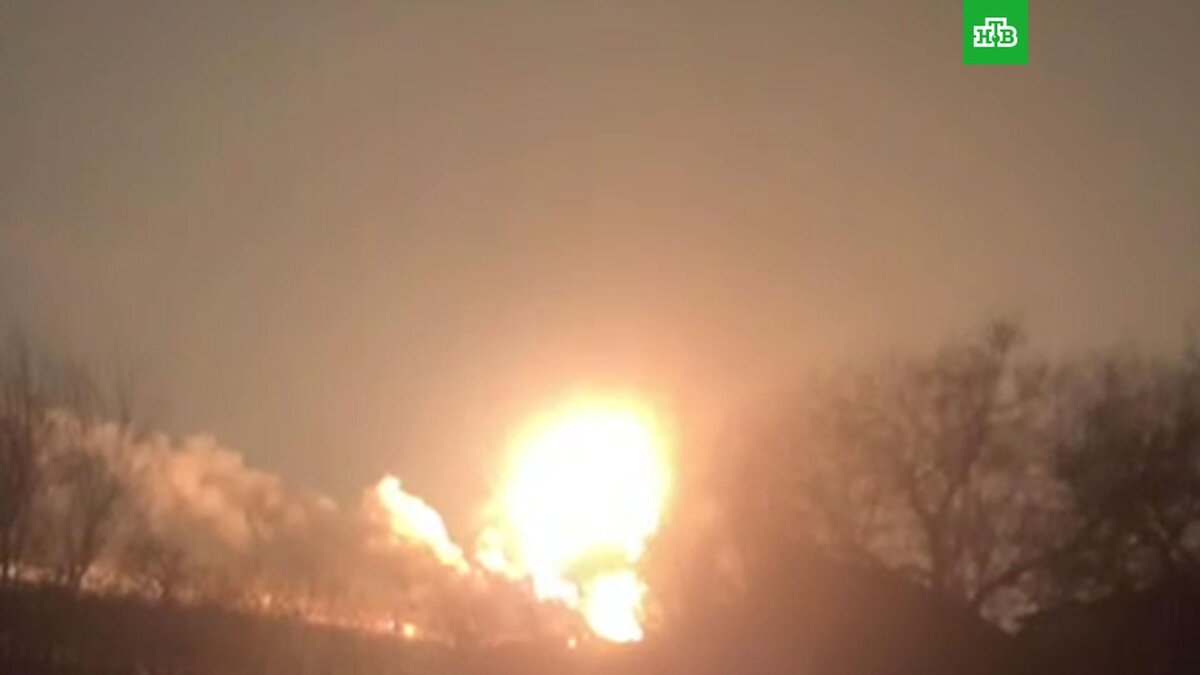    Фото: соцсети