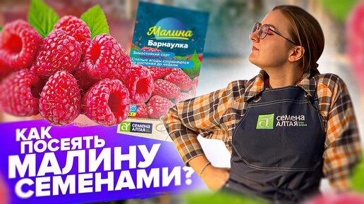 МАЛИНА, ЕЖЕВИКА, ЗЕМЛЯНИКА из СЕМЯН! КАК ПОСЕЯТЬ? #семенаалтая