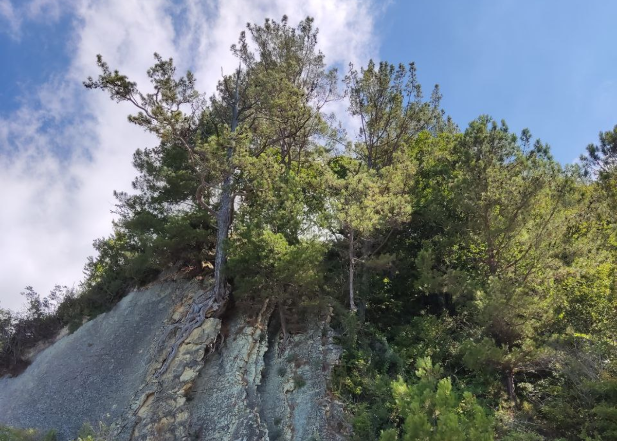 Разрешите себе бояться и грустить