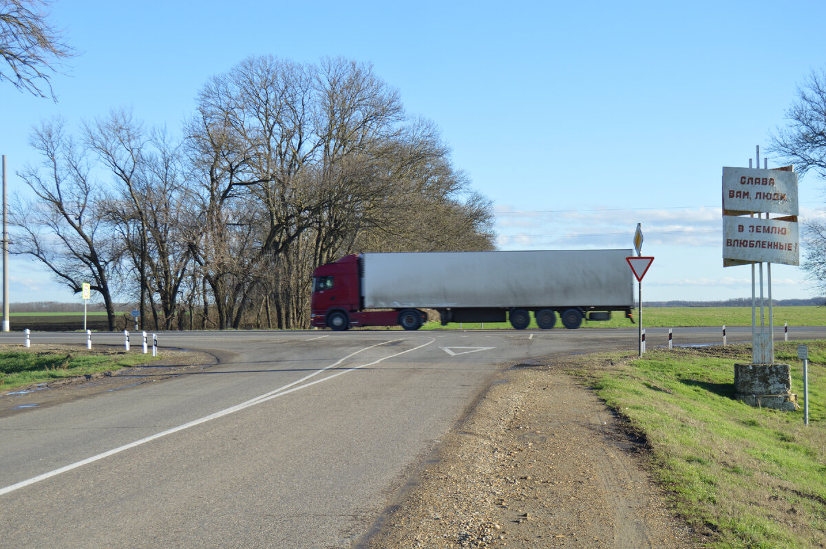 Фото автора. 20.12.2023. Зимняя Кубань. Чистое небо, зелёные поля.