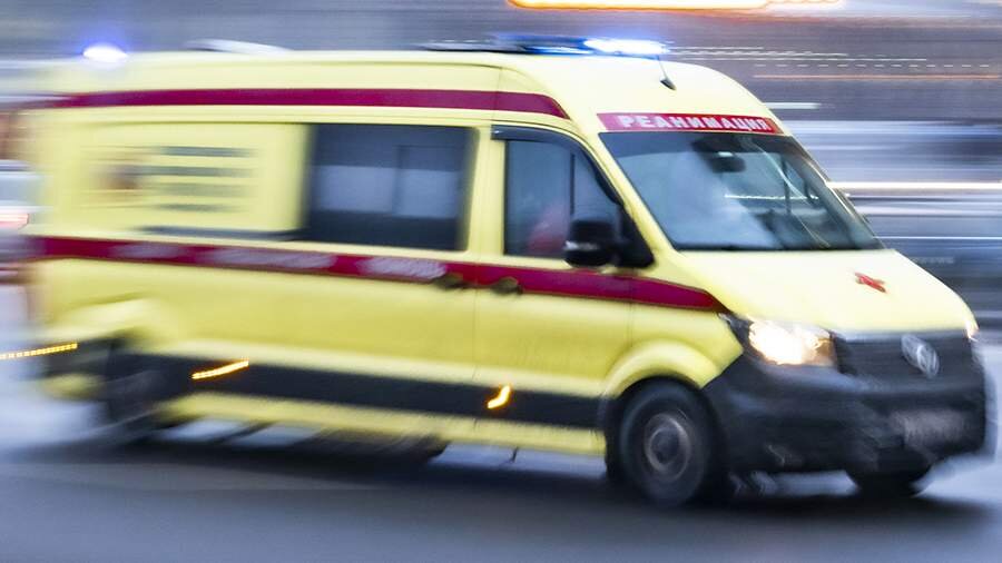 Фото: ИЗВЕСТИЯ/Константин Кокошкин