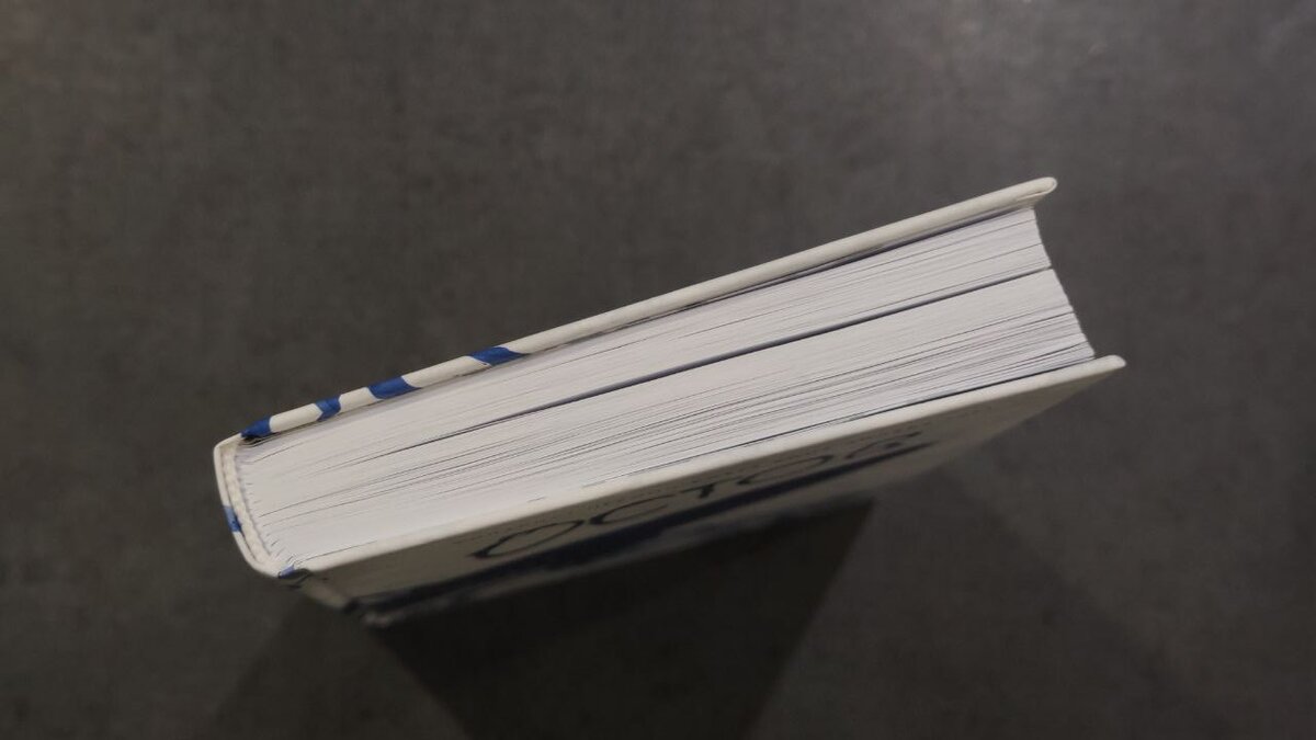 Почти 400 страниц, но читается быстро – у меня ушло два вечера