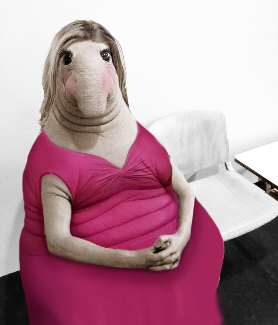 взято из открытых источников