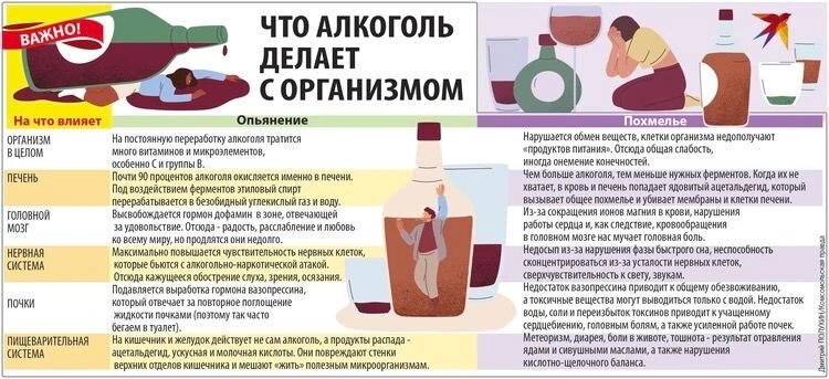 Что пить перед пьянкой. Что пить перед пьянкой