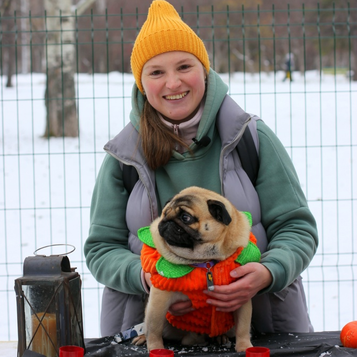 Мопсодом - это приют для собак мелких и средних пород. Там ждут своих хозяев не только мопсы!