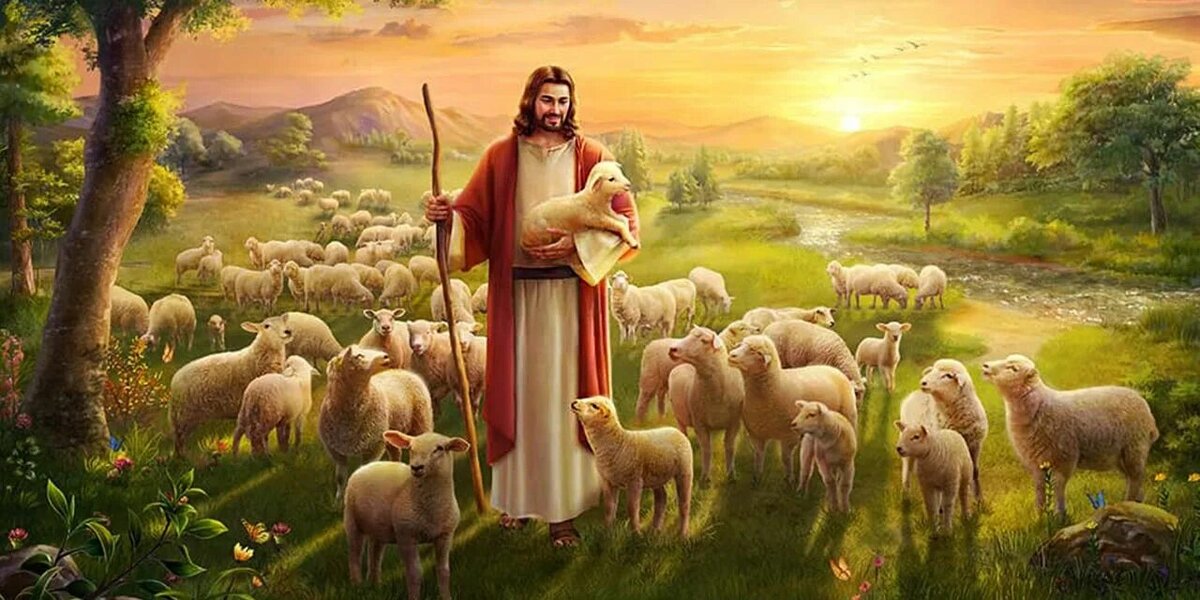 Овцы в Библии 48 слов фото статья