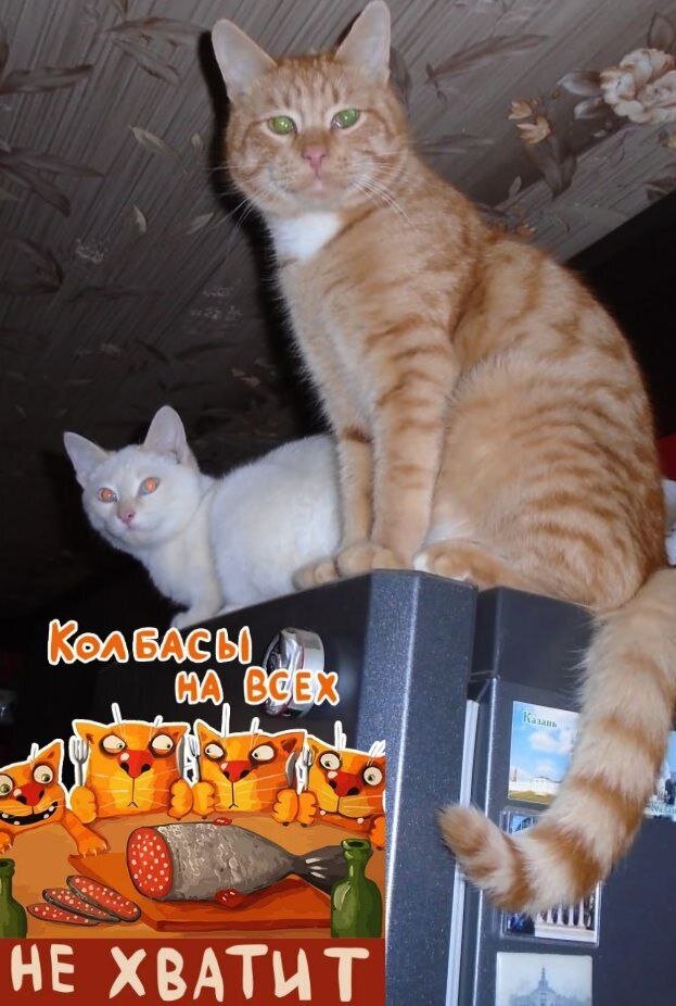  автор коллажа Серафим Шарташский
