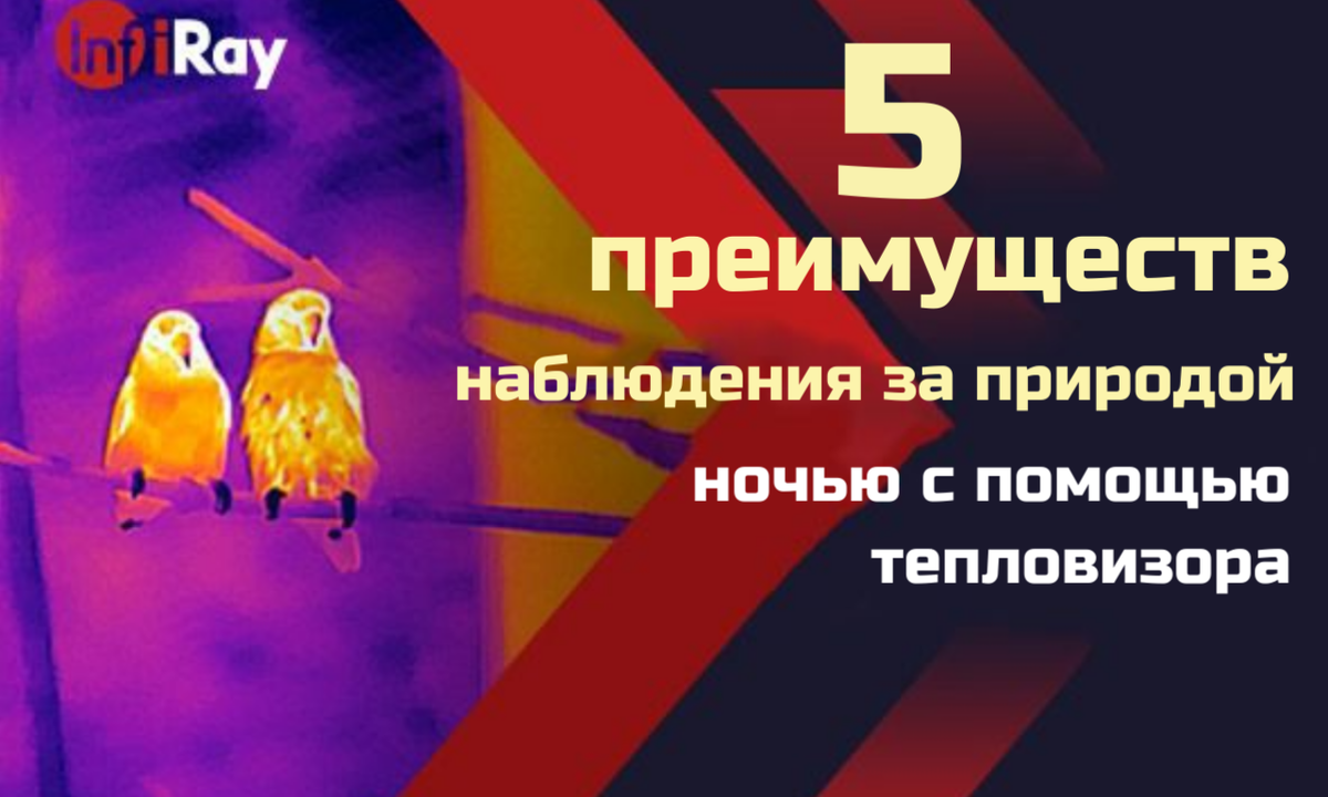 https://www.infiray.com/
