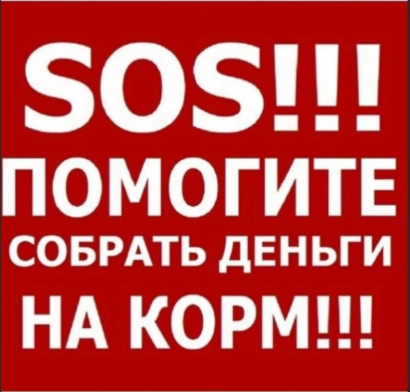 Друзья, акция МИР по возврату средств закончилась, но мы продолжаем возвращать деньги!