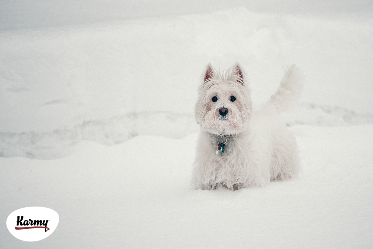 Авторское изображение с использованием картинки с фотостока "Unsplash" 