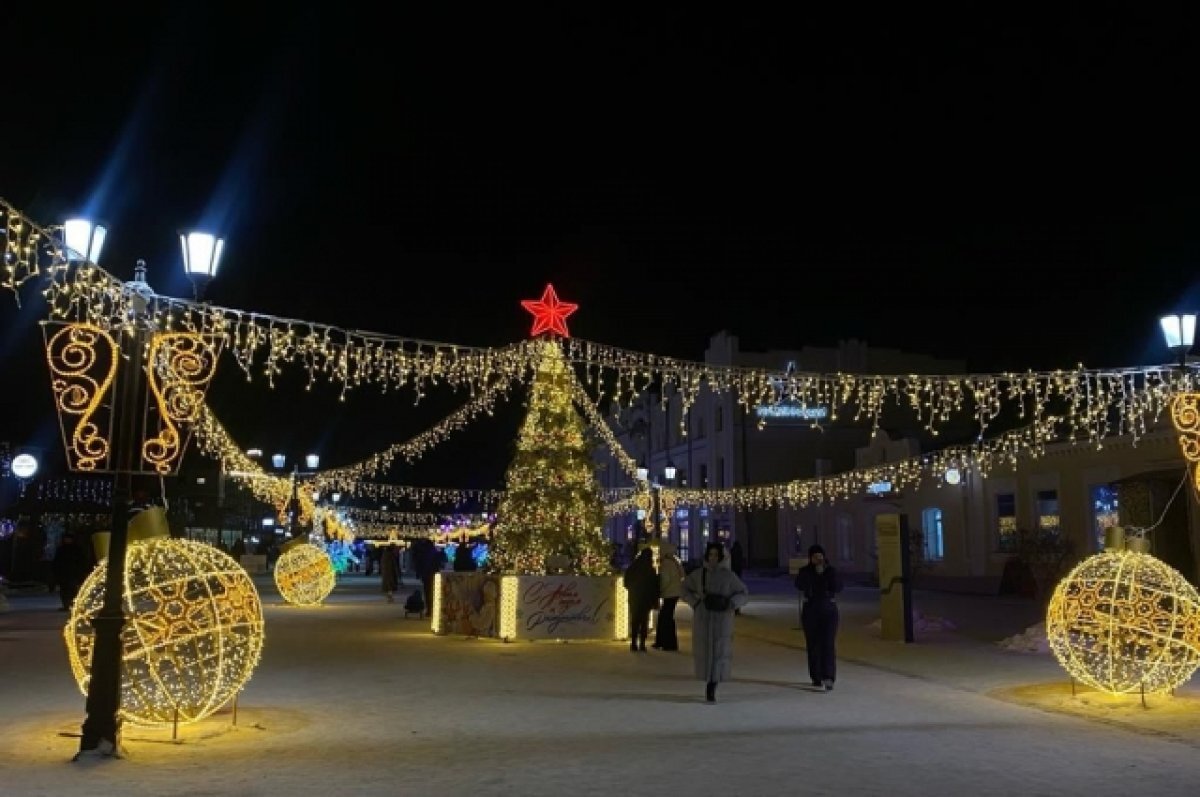    В Барнауле на Мало-Тобольской можно будет увидеть виртуального дракона