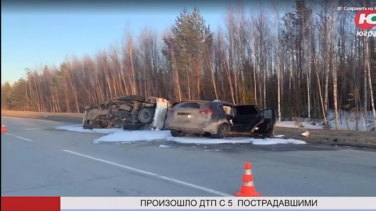 Пермский волонтёр обращается к Александру Бастрыкину по поводу ДТП с  участием матери | Properm.ru | Дзен