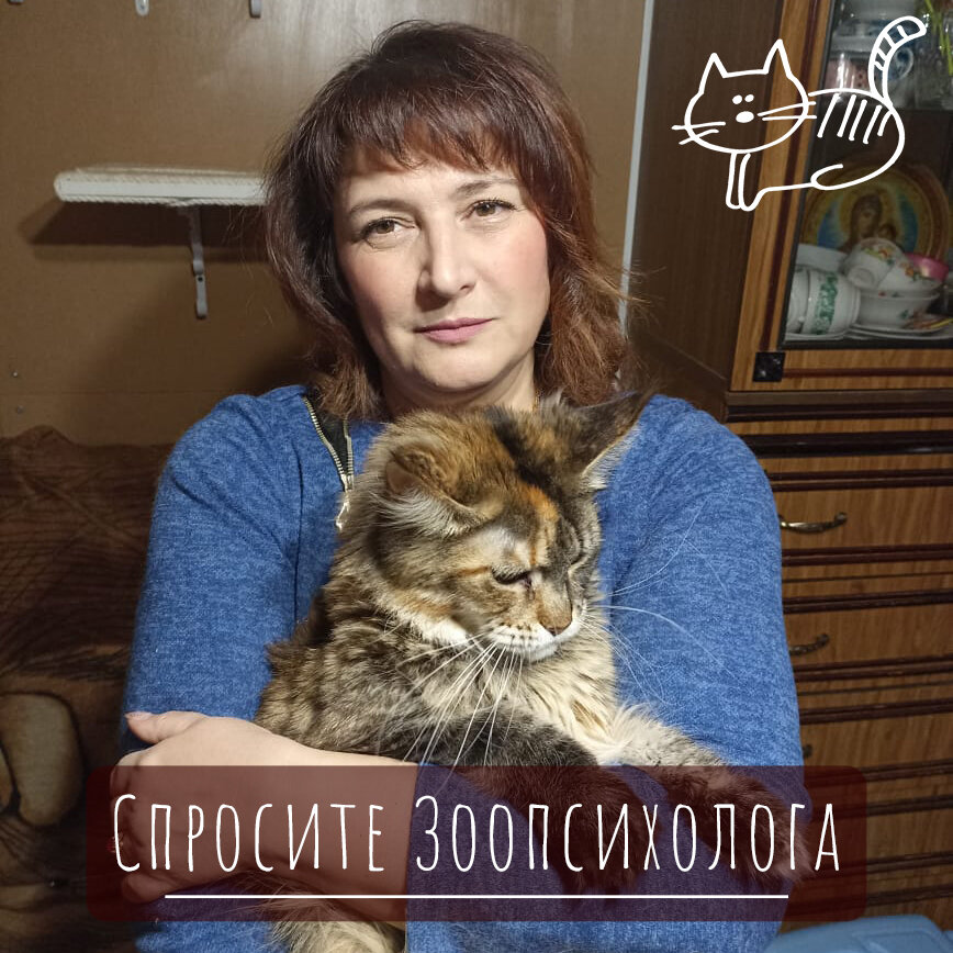 Людмила Ермакова https://vk.com/catszoopsiholog