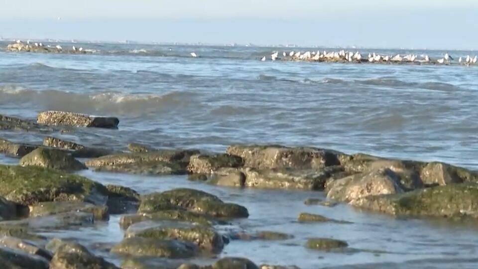 Почему каспийское море холодное в августе. Каспий мелеет. Каспийское море мелеет 2024. Экологическая катастрофа Каспийского моря, причина. Экологические проблемы Каспийского моря и их причины.