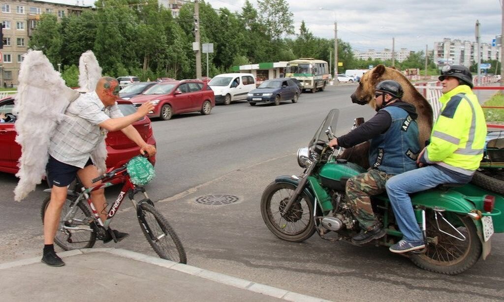 Что тут творится. Картинка что здесь происходит. Что тут происходит картинка. Что происходит на этом фото приколы. Что тут происходит смешные фото.