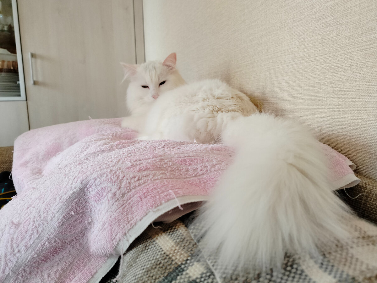 За фото ожидающей благодарности панночки благодарю Риту БАЛОБАНОВУ)