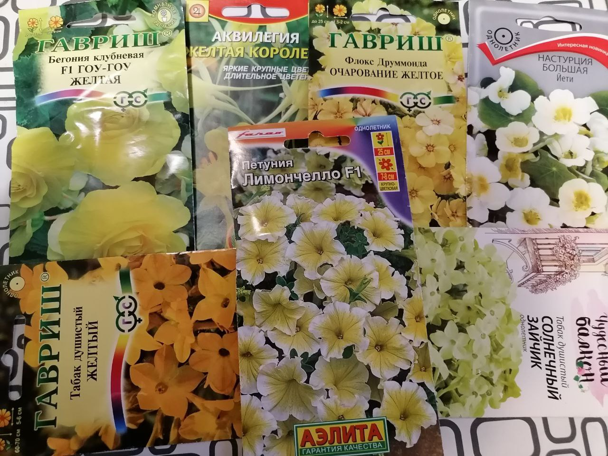 Мои семена желтых цветов на будущий сезон