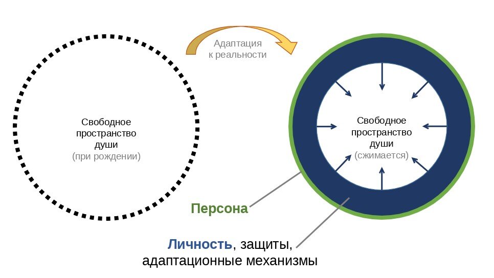 Объем души при рождении и после адаптации к реальности